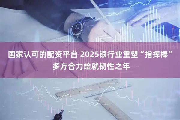 国家认可的配资平台 2025银行业重塑“指挥棒” 多方合力绘就韧性之年