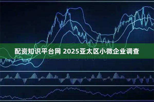 配资知识平台网 2025亚太区小微企业调查